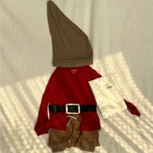 Grumpy Dwarfs costume (from Snow White)